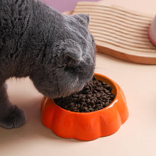 Charger l&#39;image dans la galerie, Gamelle en Céramique pour Chat – Design Fruité, Anti-basculement et Facile à nettoyer
