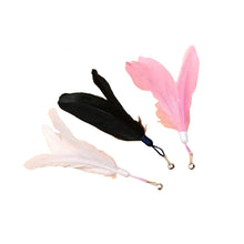 Charger l&#39;image dans la galerie, Jouet Plume pour Chat avec Clochette et ventouse forte
