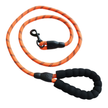 Charger l&#39;image dans la galerie, Laisse Réfléchissante en Nylon pour Chien – Robuste et Confortable
