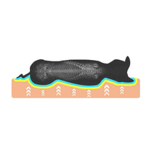 Charger l&#39;image dans la galerie, Coussin orthopédique à mémoire de forme pour chien
